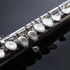 John Packer JP111 Flute With French Case-Andy's Music