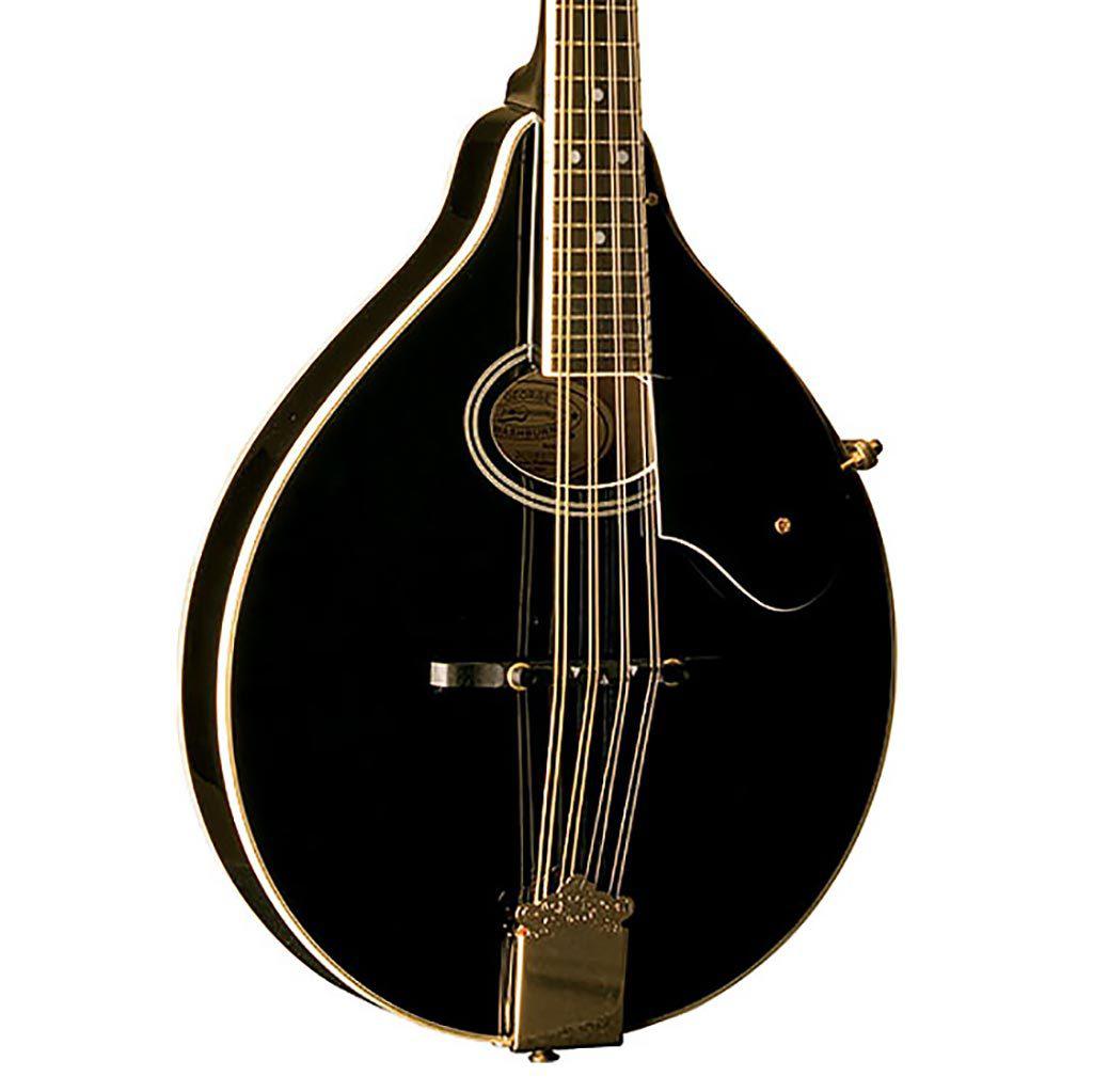 Washburn M1SD Solid Top A-Style Mandolin-Andy's Music