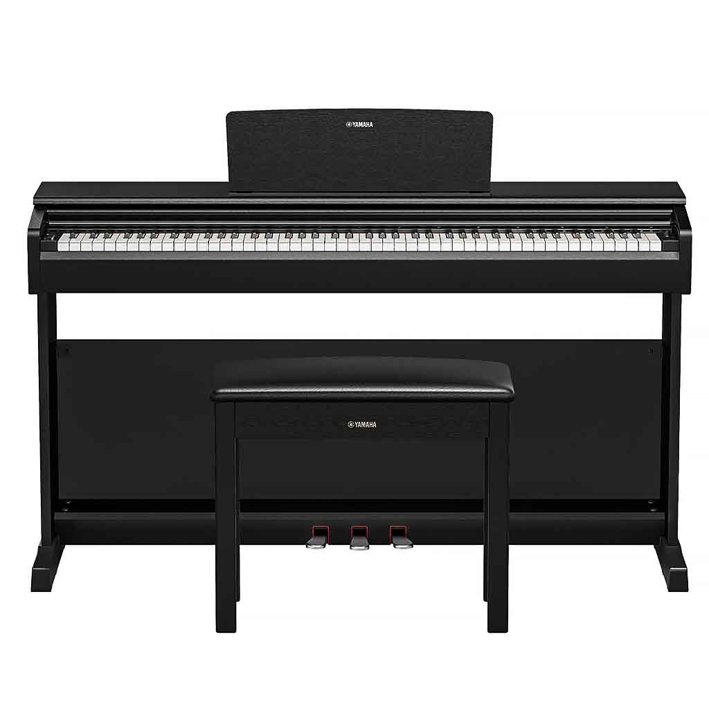 Yamaha YDP-146 Digital Piano | 88-Key Weighted Arius Series | Andy's Music