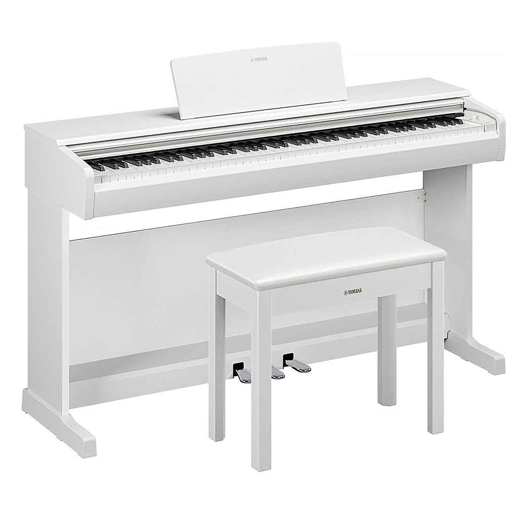Yamaha YDP-146 Digital Piano | 88-Key Weighted Arius Series | Andy's Music