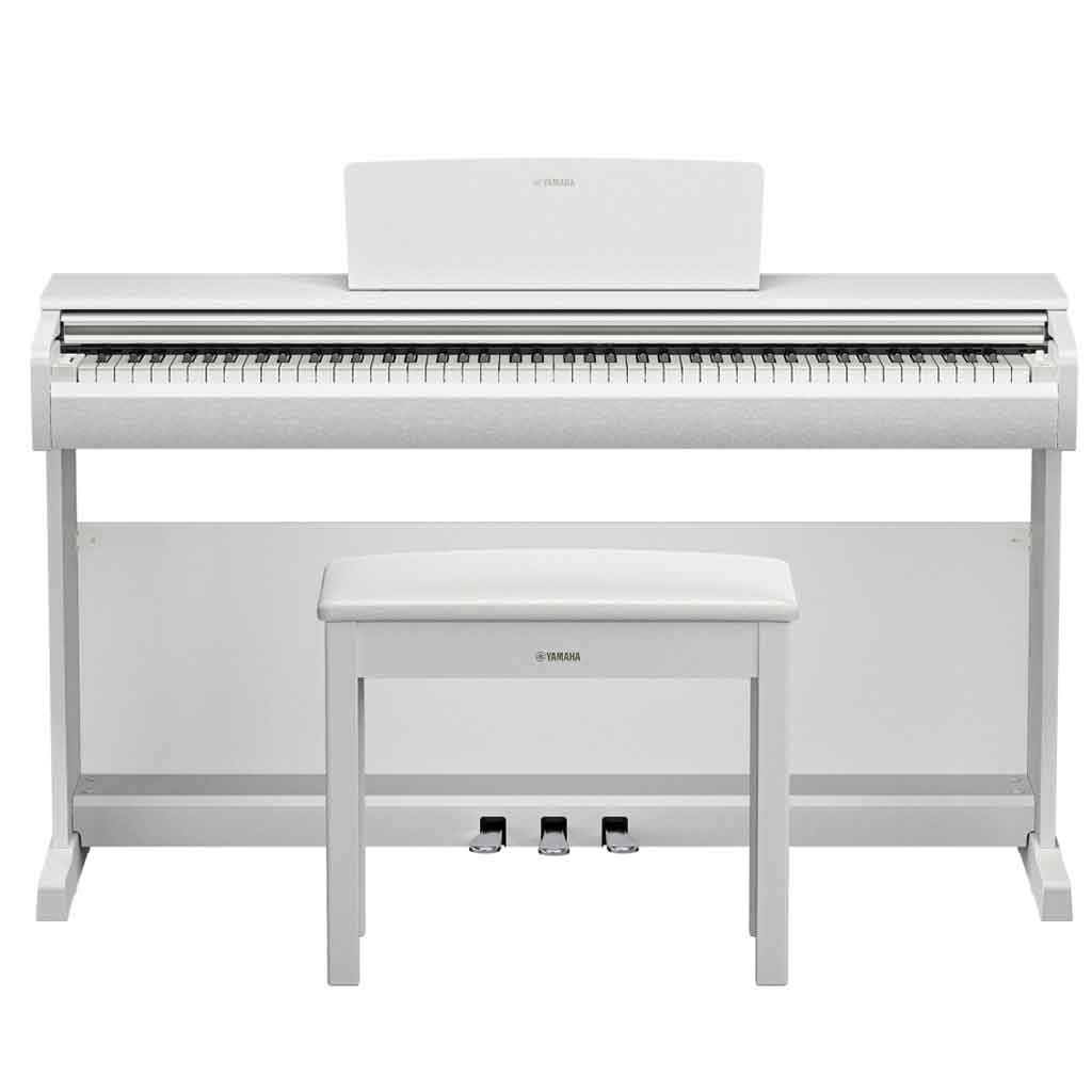 Yamaha YDP-146 Digital Piano | 88-Key Weighted Arius Series | Andy's Music