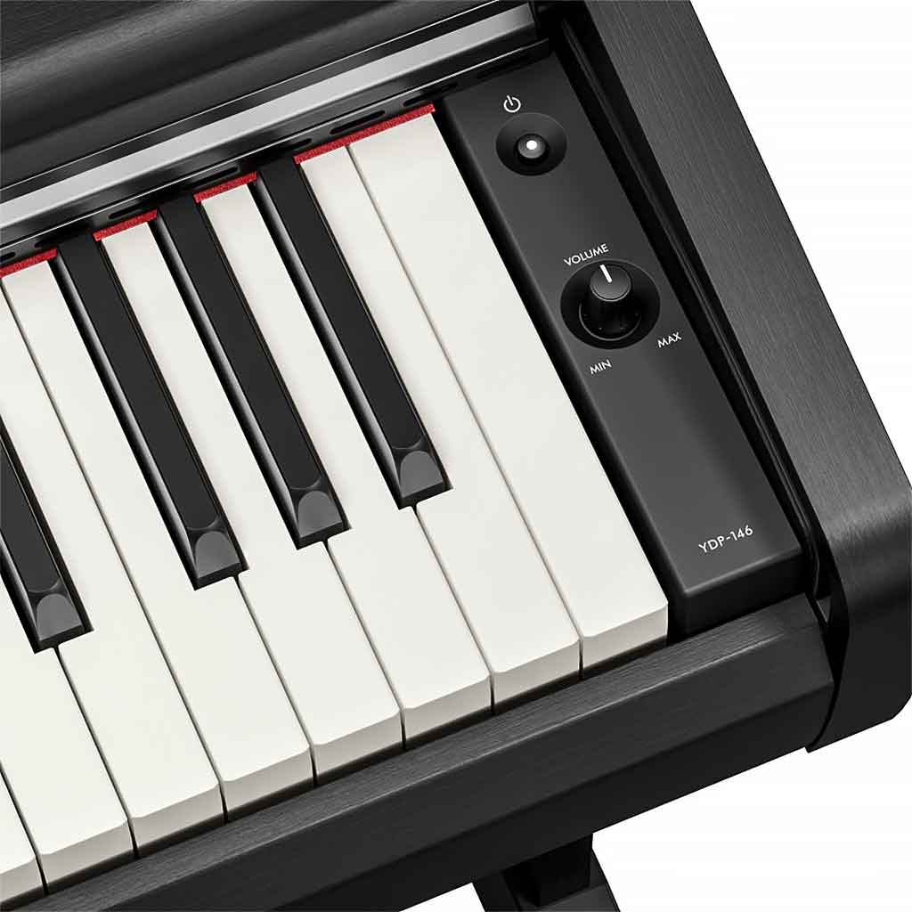 Yamaha YDP-146 Digital Piano | 88-Key Weighted Arius Series | Andy's Music