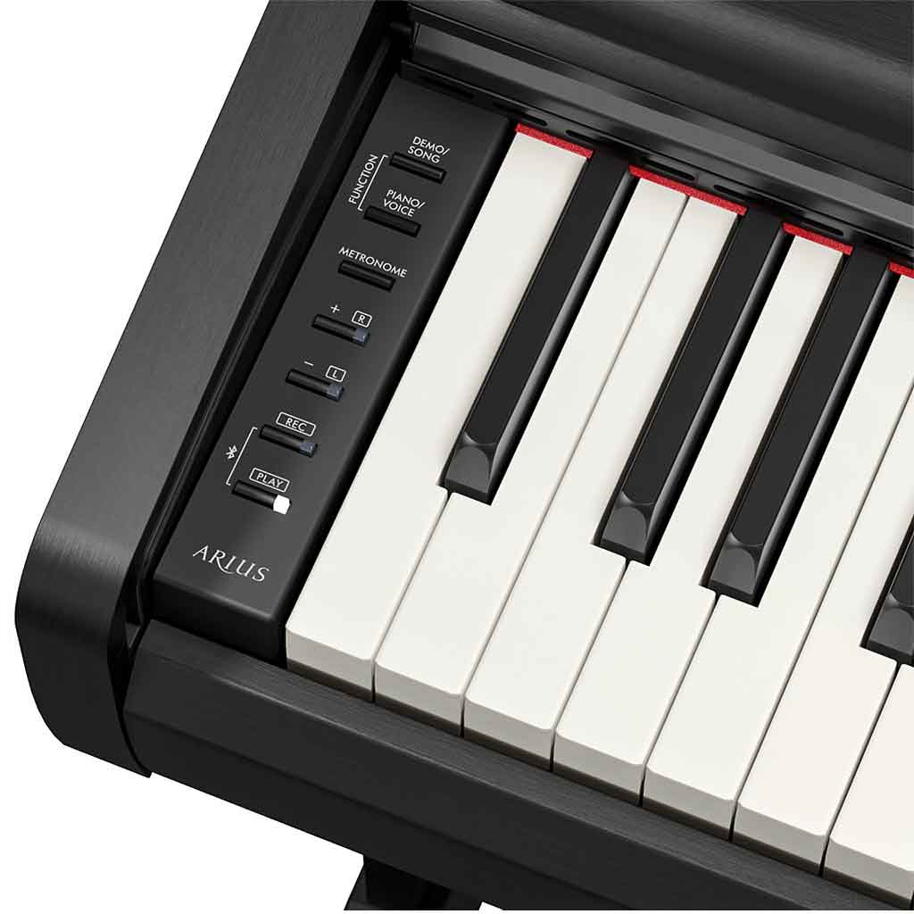 Yamaha YDP-146 Digital Piano | 88-Key Weighted Arius Series | Andy's Music