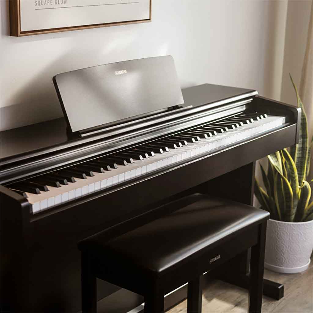 Yamaha YDP-146 Digital Piano | 88-Key Weighted Arius Series | Andy's Music