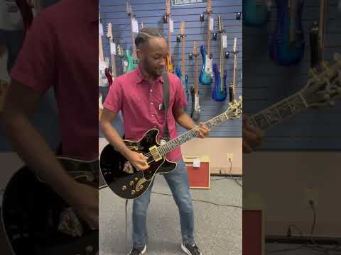 Ibanez AS Semi Hollowbody Electric Guitars at Andy's Music