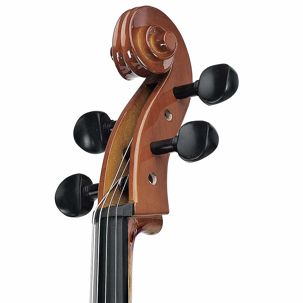 Augusta Menicci AM310C Cello Outfit With Bow And Bag-Andy's Music