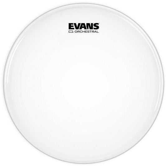 Evans B14GCS Snare Batter - Orchestral, 14"-Andy's Music