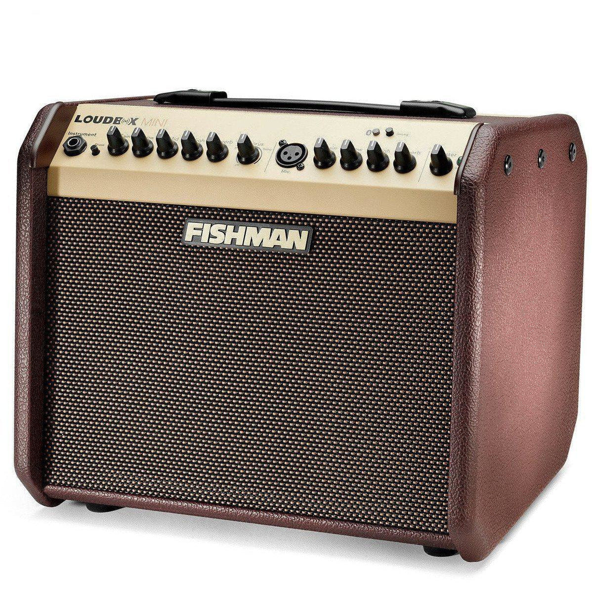 Fishman Loudbox Mini Bluetooth Acoustic Guitar Amplifier PROLBT500-Andy's Music