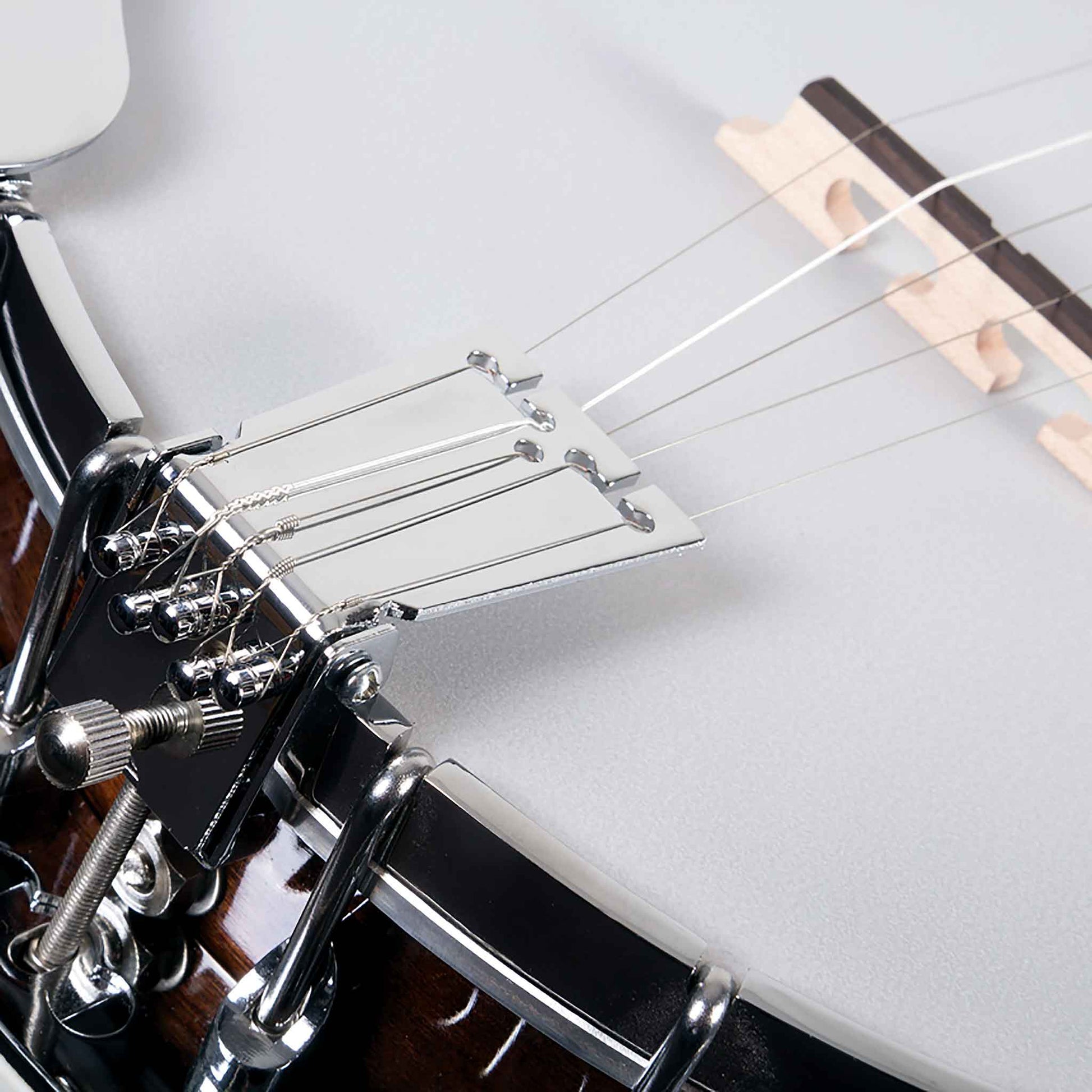 Washburn B11 5-String Banjo With Hard Case